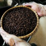 CÀ PHÊ ROBUSTA OLIVE