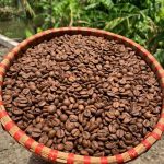 MOKA LỤA CẦU ĐẤT - OLIVE COFFEE