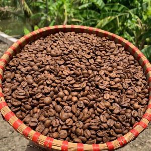 MOKA LỤA CẦU ĐẤT - OLIVE COFFEE