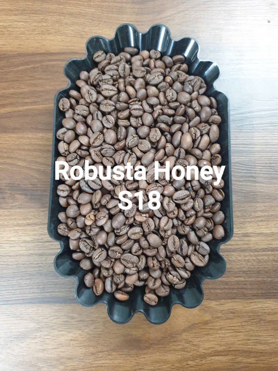 2026/05/133.jpg