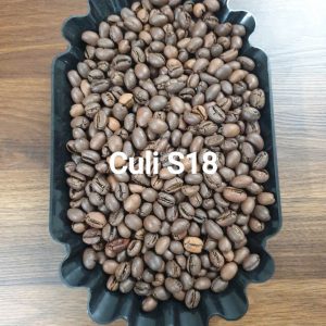 CULI S18