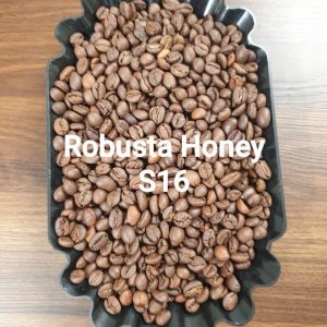 ROBUSTA HONEY S16