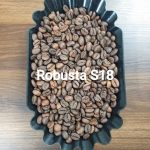 ROBUSTA S18